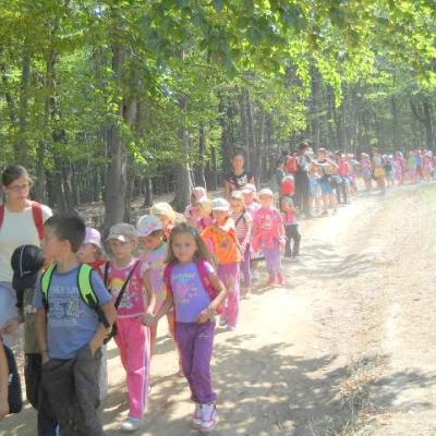 20-25 august: Cleja "Sfântul Marcu": Campusul "Amintiri din copilărie"