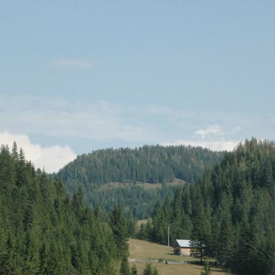 23-26 august:Tineri de la "Sf. Tereza a Pruncului Isus" din Iaşi în campus la Lacu Roşu
