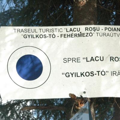 23-26 august:Tineri de la "Sf. Tereza a Pruncului Isus" din Iaşi în campus la Lacu Roşu