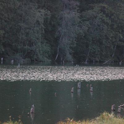 23-26 august:Tineri de la "Sf. Tereza a Pruncului Isus" din Iaşi în campus la Lacu Roşu