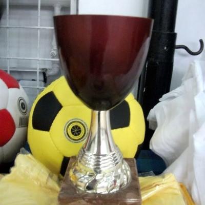 13 octombrie: Bacău: Cupa "Mihail Sadoveanu" la mini-fotbal