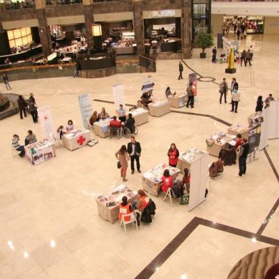 10 noiembrie: Caritas: Participare numeroasă la campania "Un milion de stele"