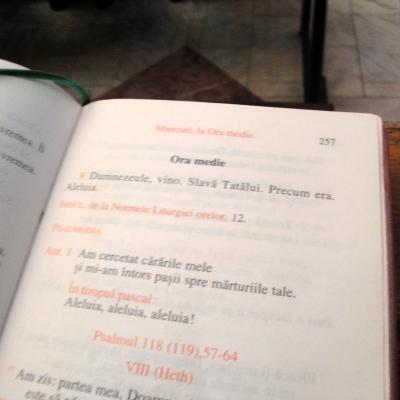 28 noiembrie: Bacău: Şedinţă decanală