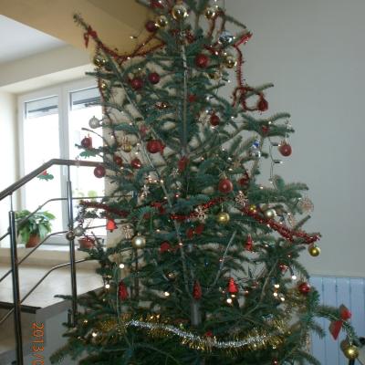 17-31 decembrie: Caritas Roman: Crăciunul la căminul pentru persoane vârstnice din Gherăeşti