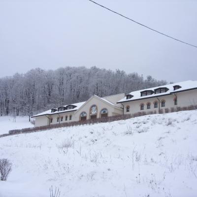 25 ianuarie: Viişoara: În jurul Mariei, "Maica Unităţii", ne-am rugat...