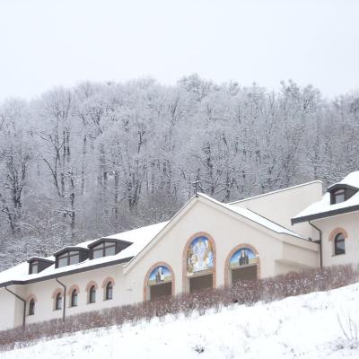 25 ianuarie: Viişoara: În jurul Mariei, "Maica Unităţii", ne-am rugat...