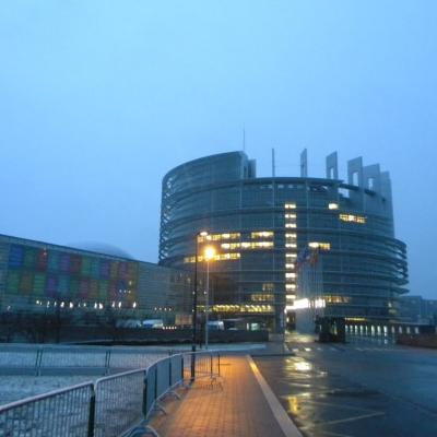 6-13 februarie: Bacău: Parlamentari pentru o zi