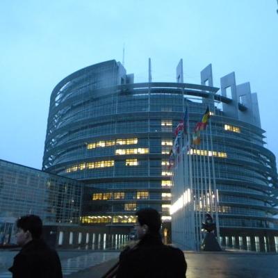 6-13 februarie: Bacău: Parlamentari pentru o zi