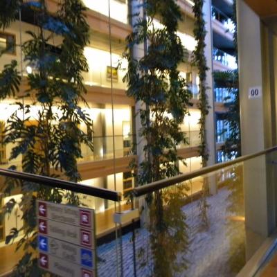 6-13 februarie: Bacău: Parlamentari pentru o zi