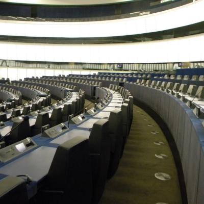 6-13 februarie: Bacău: Parlamentari pentru o zi