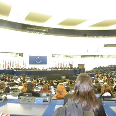 6-13 februarie: Bacău: Parlamentari pentru o zi