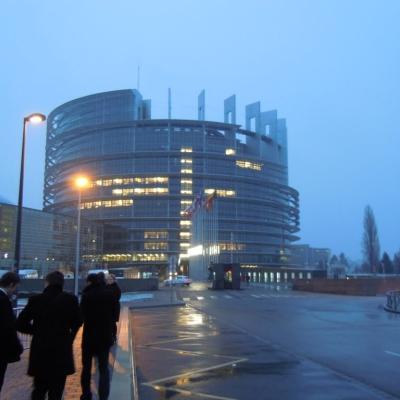 6-13 februarie: Bacău: Parlamentari pentru o zi