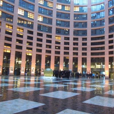6-13 februarie: Bacău: Parlamentari pentru o zi