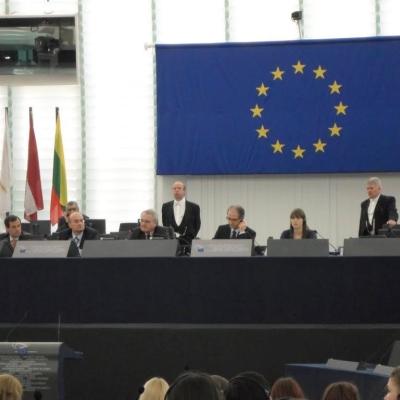 6-13 februarie: Bacău: Parlamentari pentru o zi