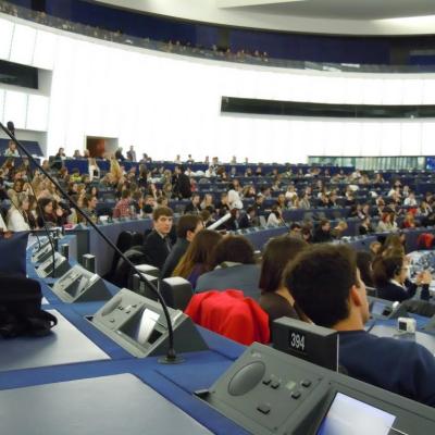 6-13 februarie: Bacău: Parlamentari pentru o zi