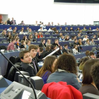 6-13 februarie: Bacău: Parlamentari pentru o zi