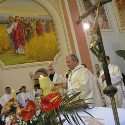 11 februarie: Luizi-Călugăra: Întâlnirea anuală a Armatei Maicii Domnului