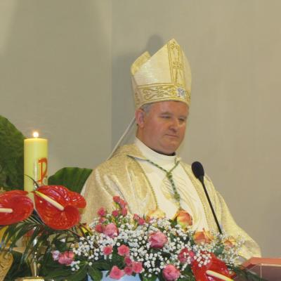 11 februarie: Luizi-Călugăra: Întâlnirea anuală a Armatei Maicii Domnului