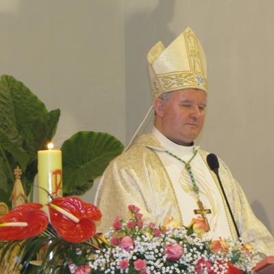 11 februarie: Luizi-Călugăra: Întâlnirea anuală a Armatei Maicii Domnului