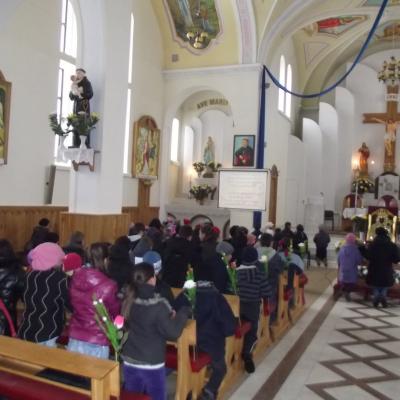17-20 februarie: Bijghir: "Peregrinatio Mariae" şi misiuni populare