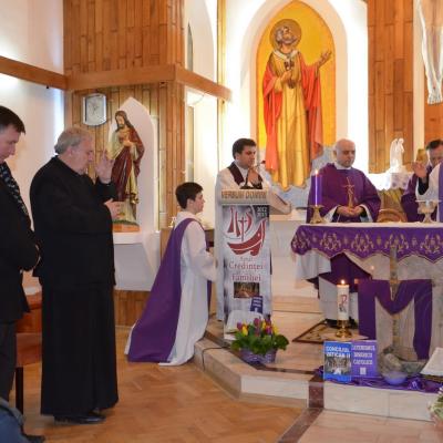 14-17 martie: Vaslui: Peregrinatio Mariae şi misiuni populare