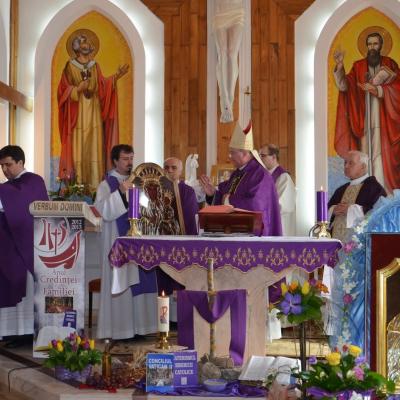 14-17 martie: Vaslui: Peregrinatio Mariae şi misiuni populare