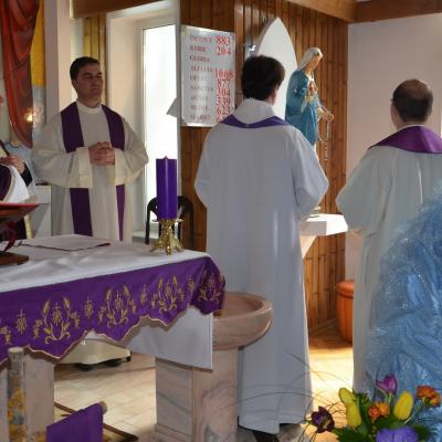 14-17 martie: Vaslui: Peregrinatio Mariae şi misiuni populare
