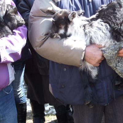 19-23 martie: Vladnic: Misiuni populare