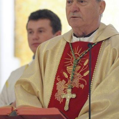 19 martie: Iaşi (catedrală): Liturghia solemnă de Sfântul Iosif şi de mulţumire pentru inaugurarea pontificatului papei Francisc