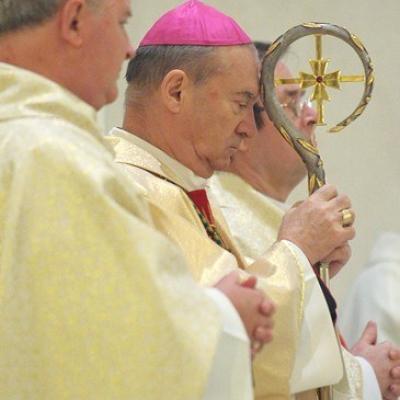 19 martie: Iaşi (catedrală): Liturghia solemnă de Sfântul Iosif şi de mulţumire pentru inaugurarea pontificatului papei Francisc