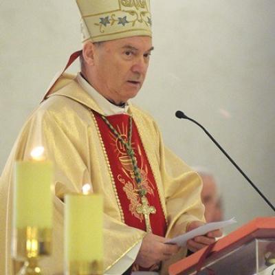 19 martie: Iaşi (catedrală): Liturghia solemnă de Sfântul Iosif şi de mulţumire pentru inaugurarea pontificatului papei Francisc