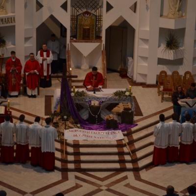 24 martie: Bacău: Ziua Tineretului la nivel local