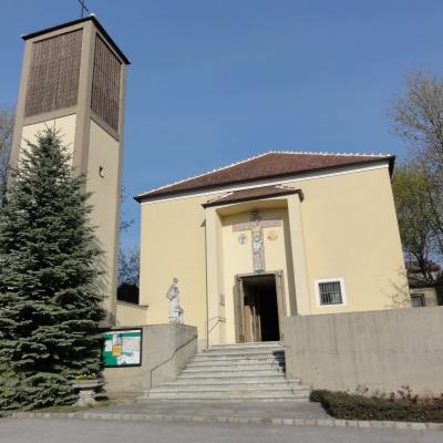 5-19 aprilie: Pelerinaj diecezan în Anul Credinţei la Vatican şi în Italia