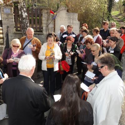 5-19 aprilie: Pelerinaj diecezan în Anul Credinţei la Vatican şi în Italia