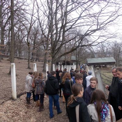 5 aprilie: Roman: Olimpiada Naţională de Religie - limba română, cultele romano-catolic şi greco-catolic. Ziua a III-a