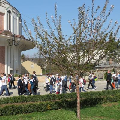 20 aprilie: Iaşi: Întâlnirea copiilor şi adolescenţilor ministranţi din Dieceza de Iaşi