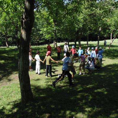 1-14 iulie: Ploscuţeni: Campus GREF