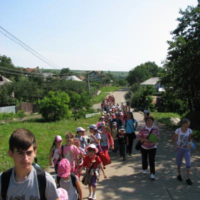 4-7 iulie: Cleja "Sf. Francisc": Campus GREF