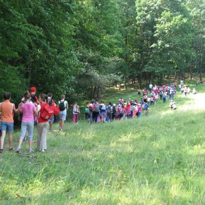 4-7 iulie: Cleja "Sf. Francisc": Campus GREF