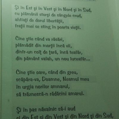 17-23 iulie: Iaşi "Sfânta Tereza": Campusul pentru tinerii de liceu "Tinereţea fericitului papă Ioan Paul al II-lea"