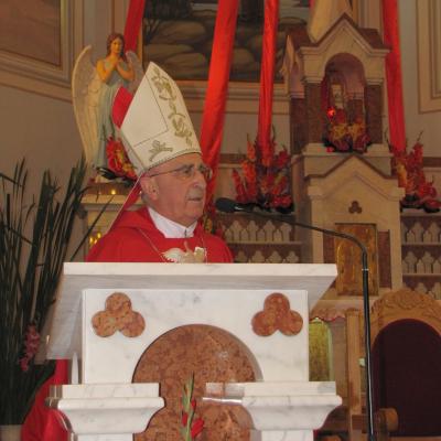 28 iulie: Luizi-Călugăra: Conferirea sfântului Mir