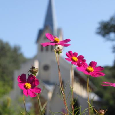 16-18 august: Luncani: Exerciţii spirituale pentru familii