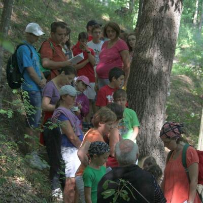 16-18 august: Luncani: Exerciţii spirituale pentru familii