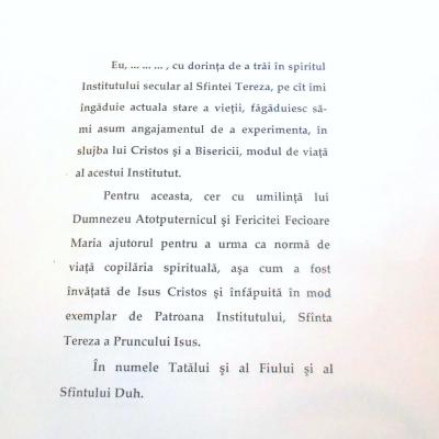 7 septembrie: Roman: Depuneri de voturi în cadrul terezinelor
