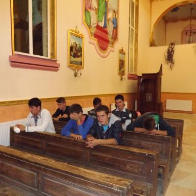 8-11 septembrie: Săveni: "Peregrinatio Mariae"