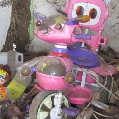16 septembrie: Tecuci: O mână de ajutor pentru sinistraţi