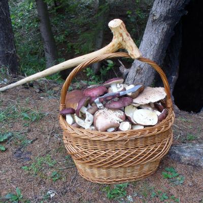 13 octombrie: Ciugheş: Ziua recunoştinţei