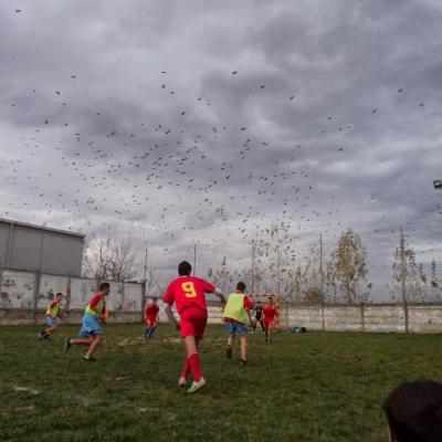 4-10 noiembrie: Bacău: Turneul elevilor "Don Bosco"