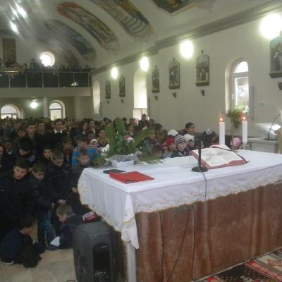 21-24 noiembrie: Arini: Peregrinatio Mariae