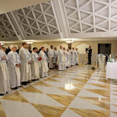 25 noiembrie: Un preot român pelerin la Sfântul Părinte